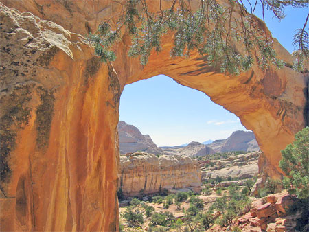 Arch in Capitol Reef