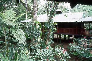 Selva Verde Lodge