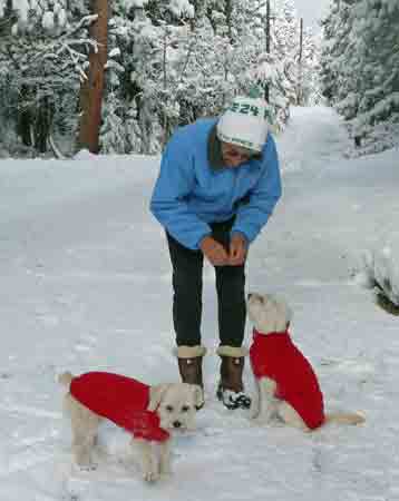Judy and Dogs in Snow