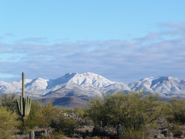 snow in Tucson