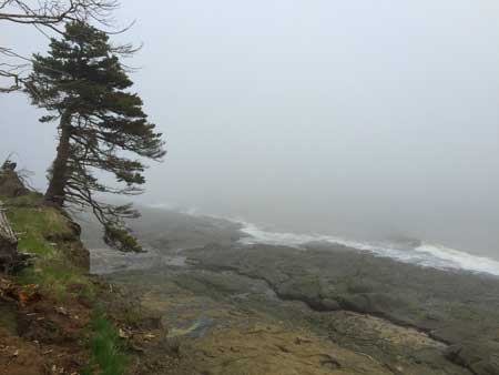 Cape Split Fog
