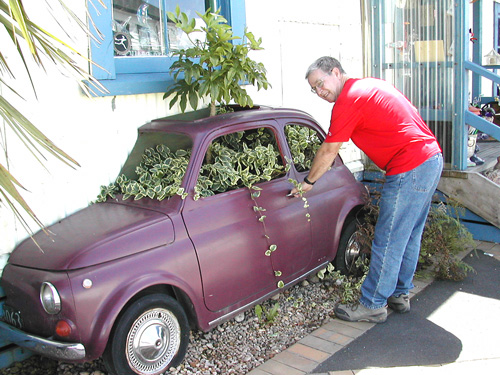 Tirau's Half Car