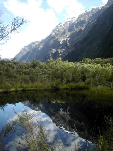 Lake Reflection