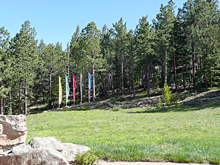Flags in the Meadow
