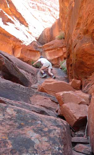 Climbing the Red Rocks