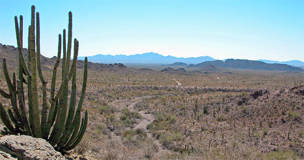 View 
From Ajo Mountains