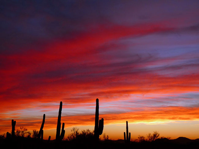 Arizona Sunset