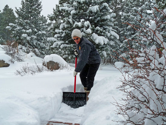 Judy Shoveling