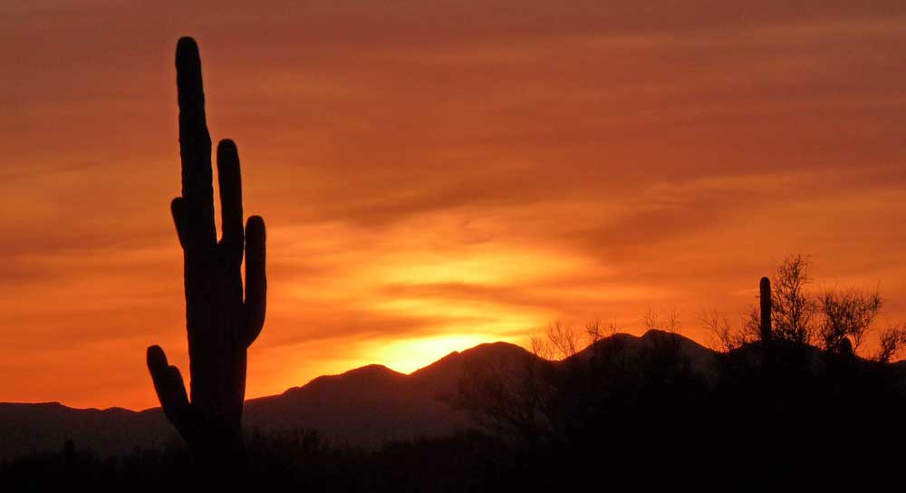 Desert Trails Sunset