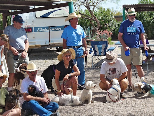 Dog Show