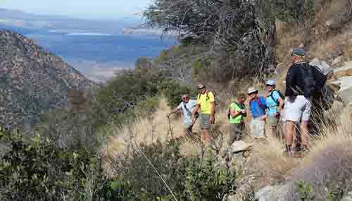 hiking madera canyon