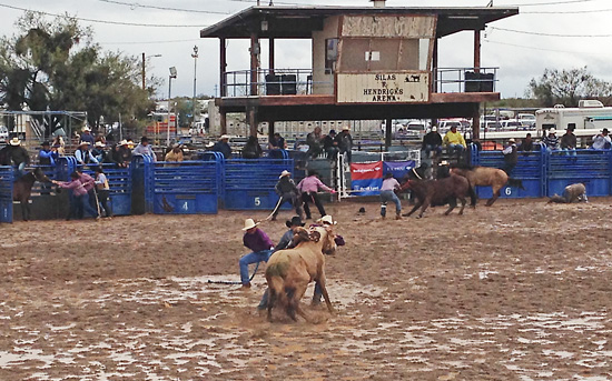 indian rodeo