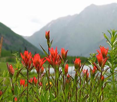 Maroon Bells