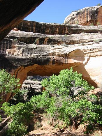 Natural Bridges National Monument