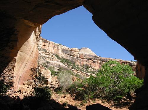 Natural Bridges National Monument