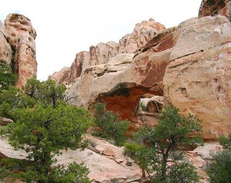Capitol Reef National Park