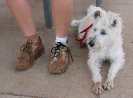 Muddy feet