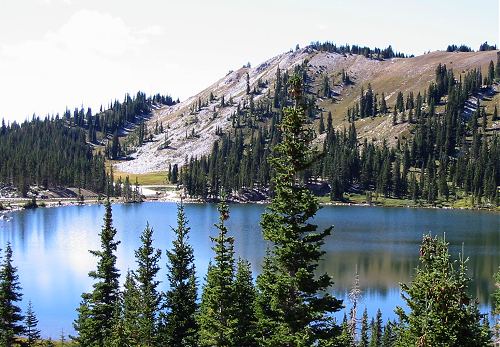 Medicine Bow