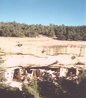 Spruce Tree House