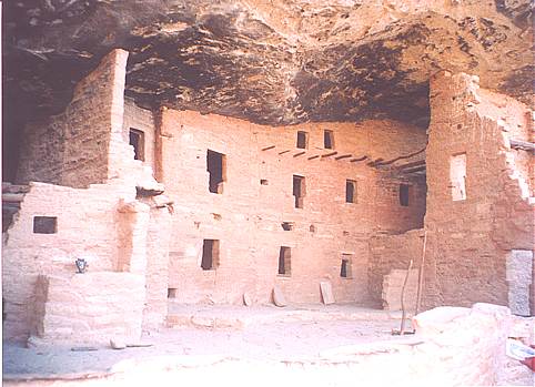 Spruce Tree House