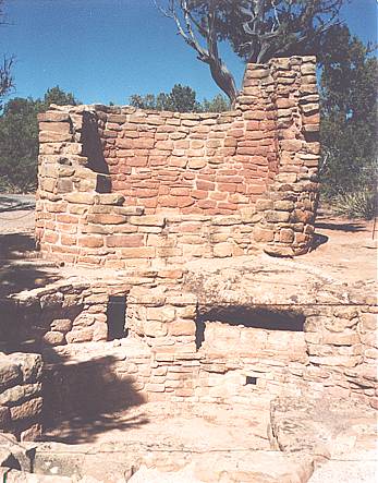 Cedar Tree House