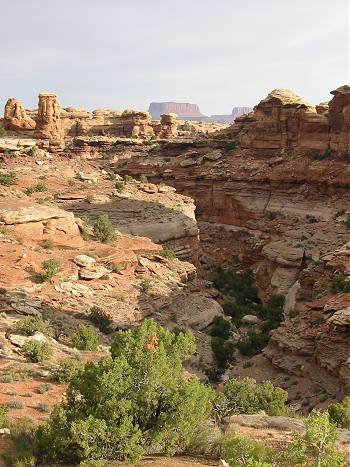 Canyonlands National Park: Needles