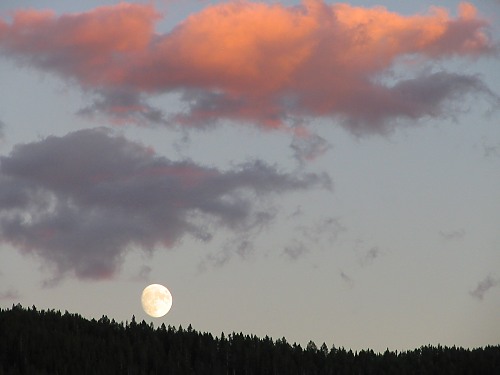 Colorado State Forest