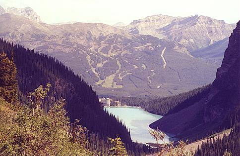 Lake Louise Teahouse Hike