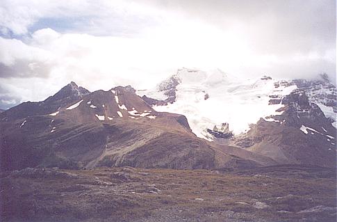 Wilcox Pass